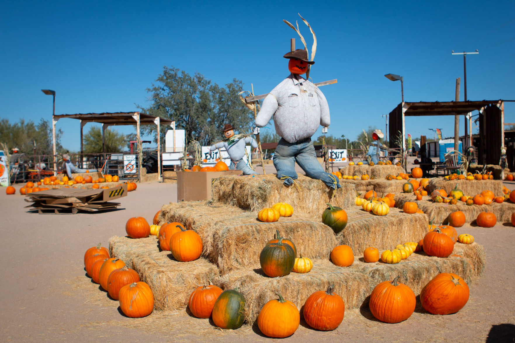 2000-dj_Pumpkins-4.jpg